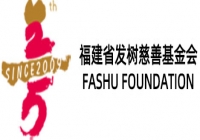 福建省发树慈善基金会2019年审计报告